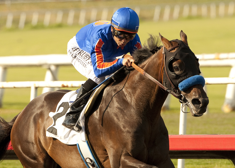 Game On Dude 7-6-2013