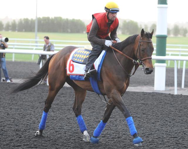 Dubai World Cup lures field of 14; Royal Delta gets choice of posts, Game On Dude picks last