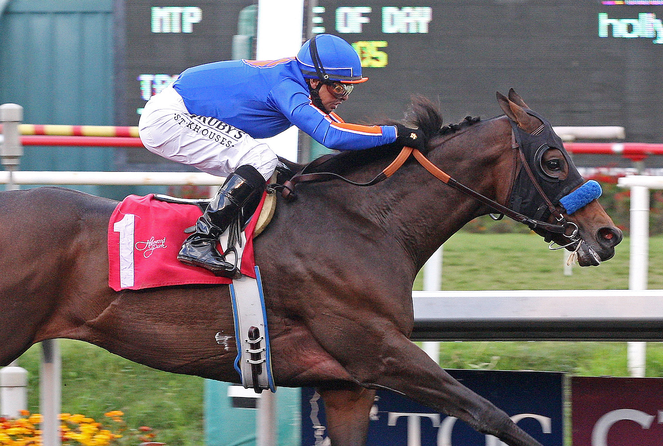Game On Dude 12-01-2012