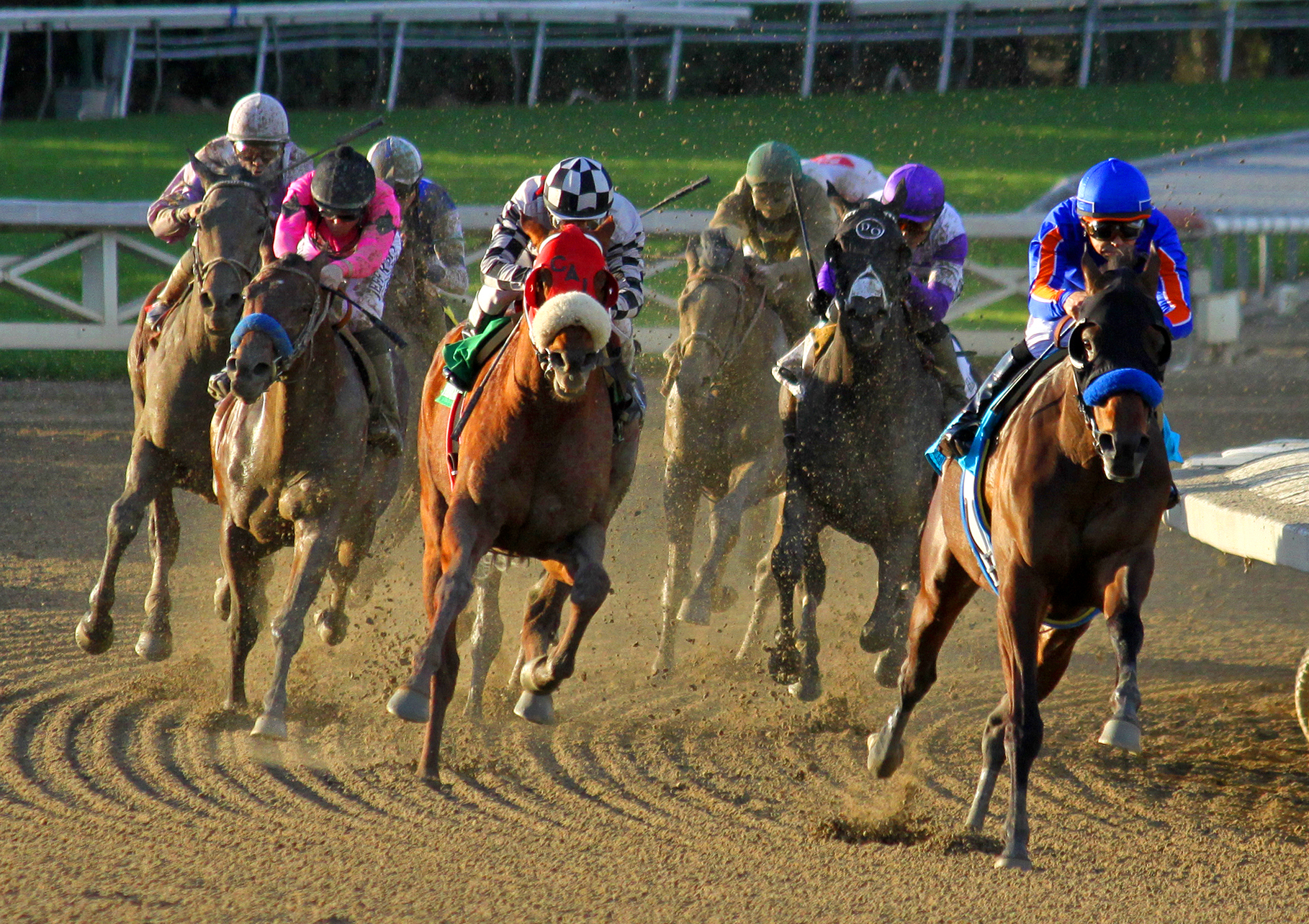 Game On Dude/Big Cap