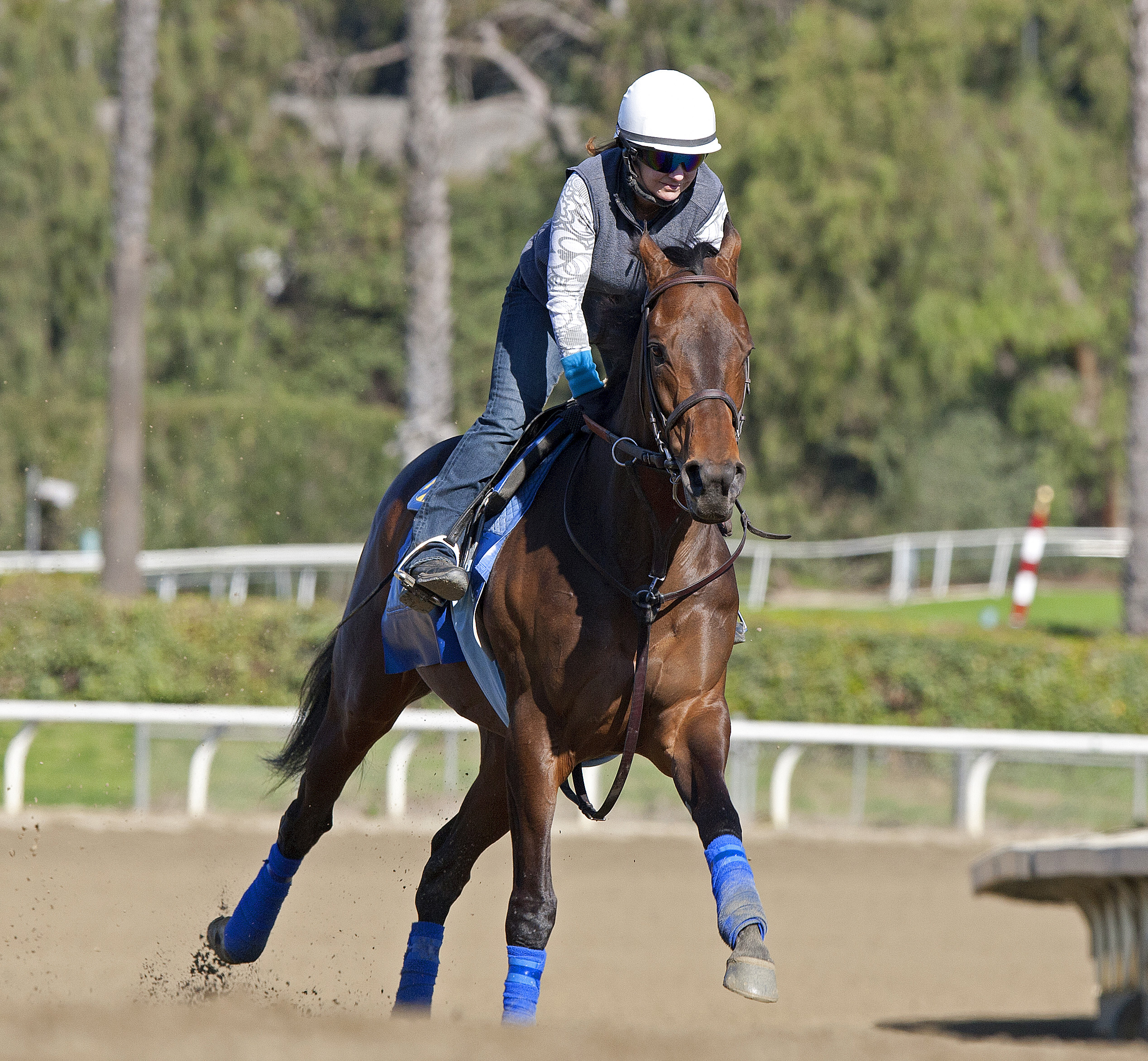 Game On Dude