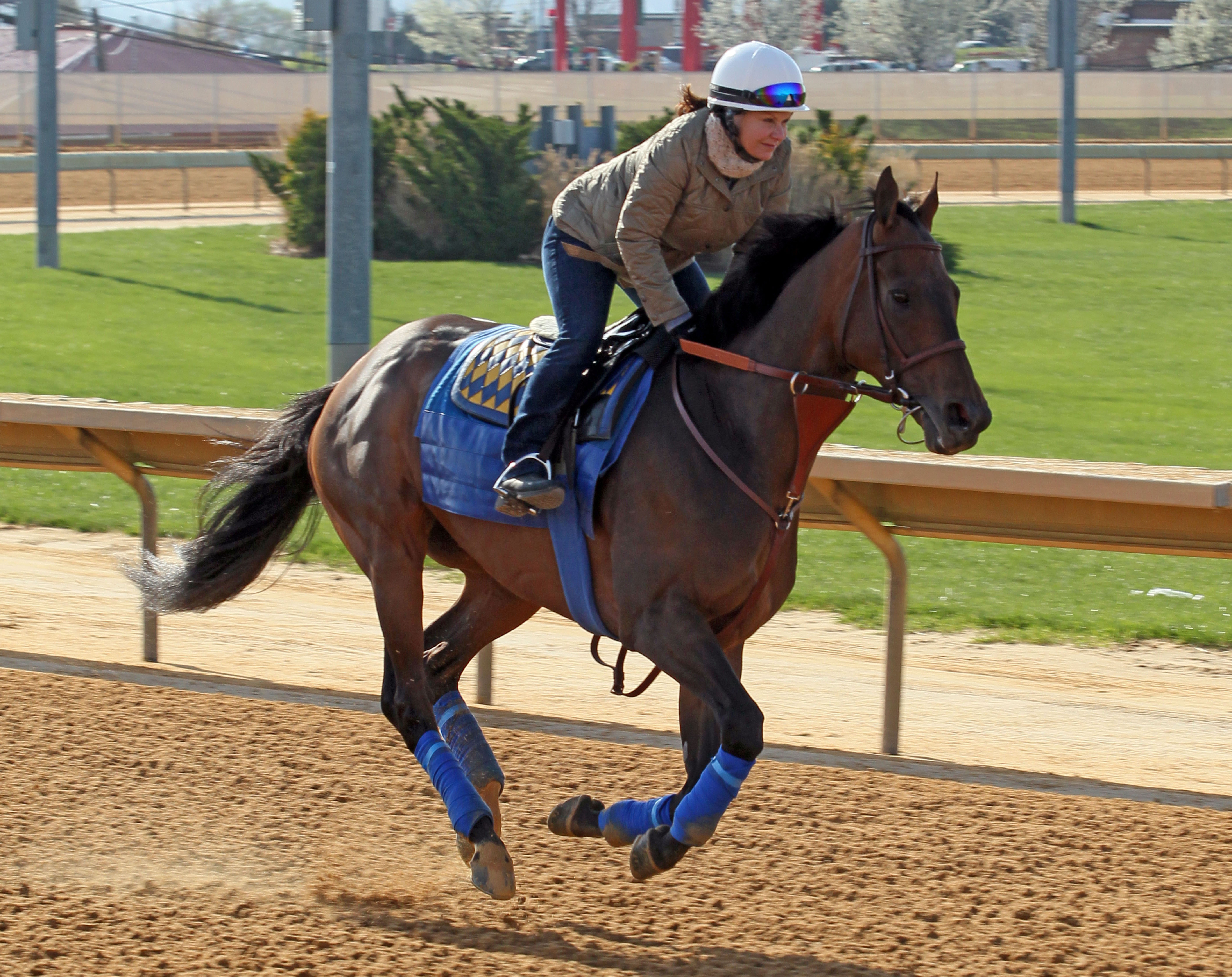 Game On Dude working April 17