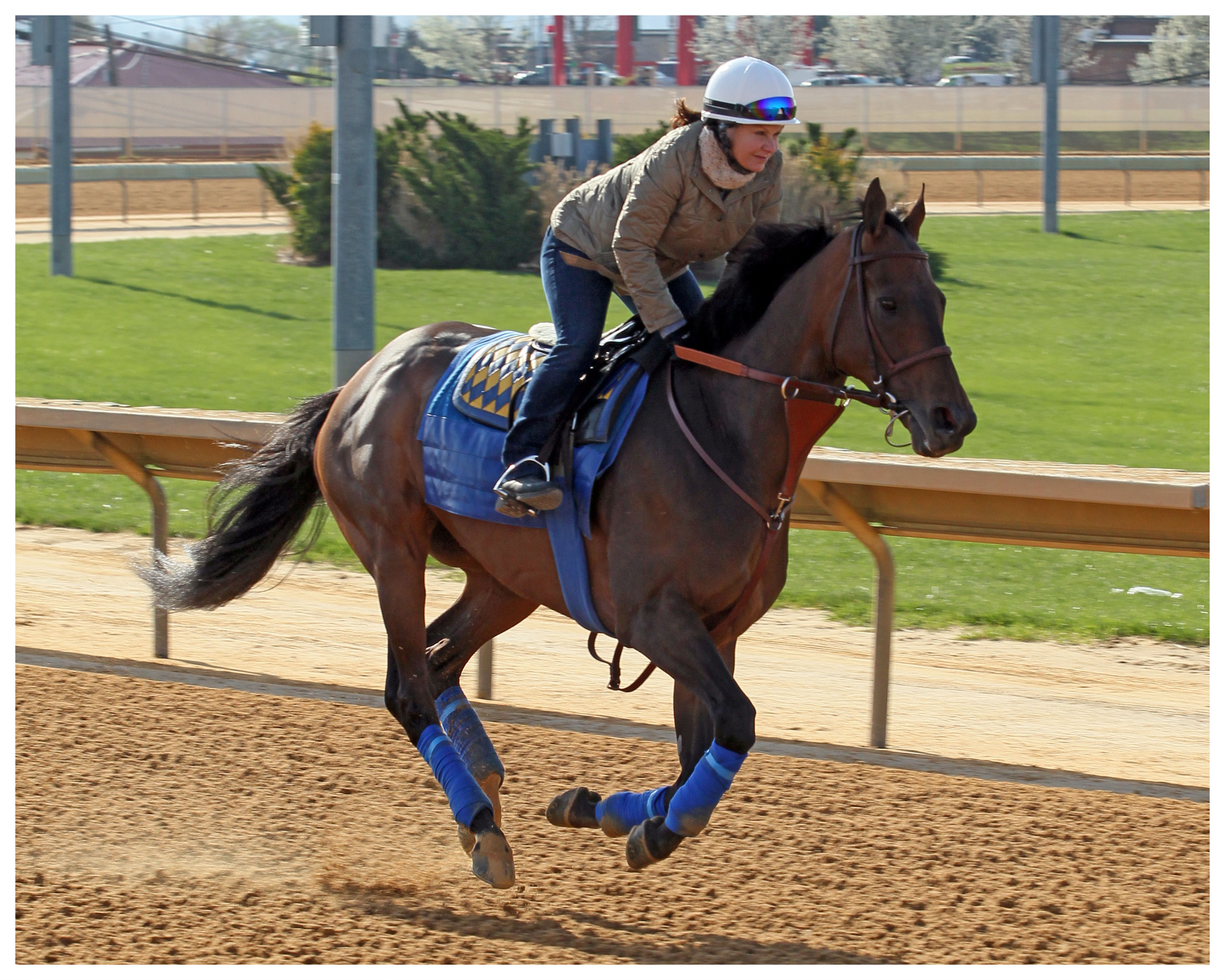 Game On Dude