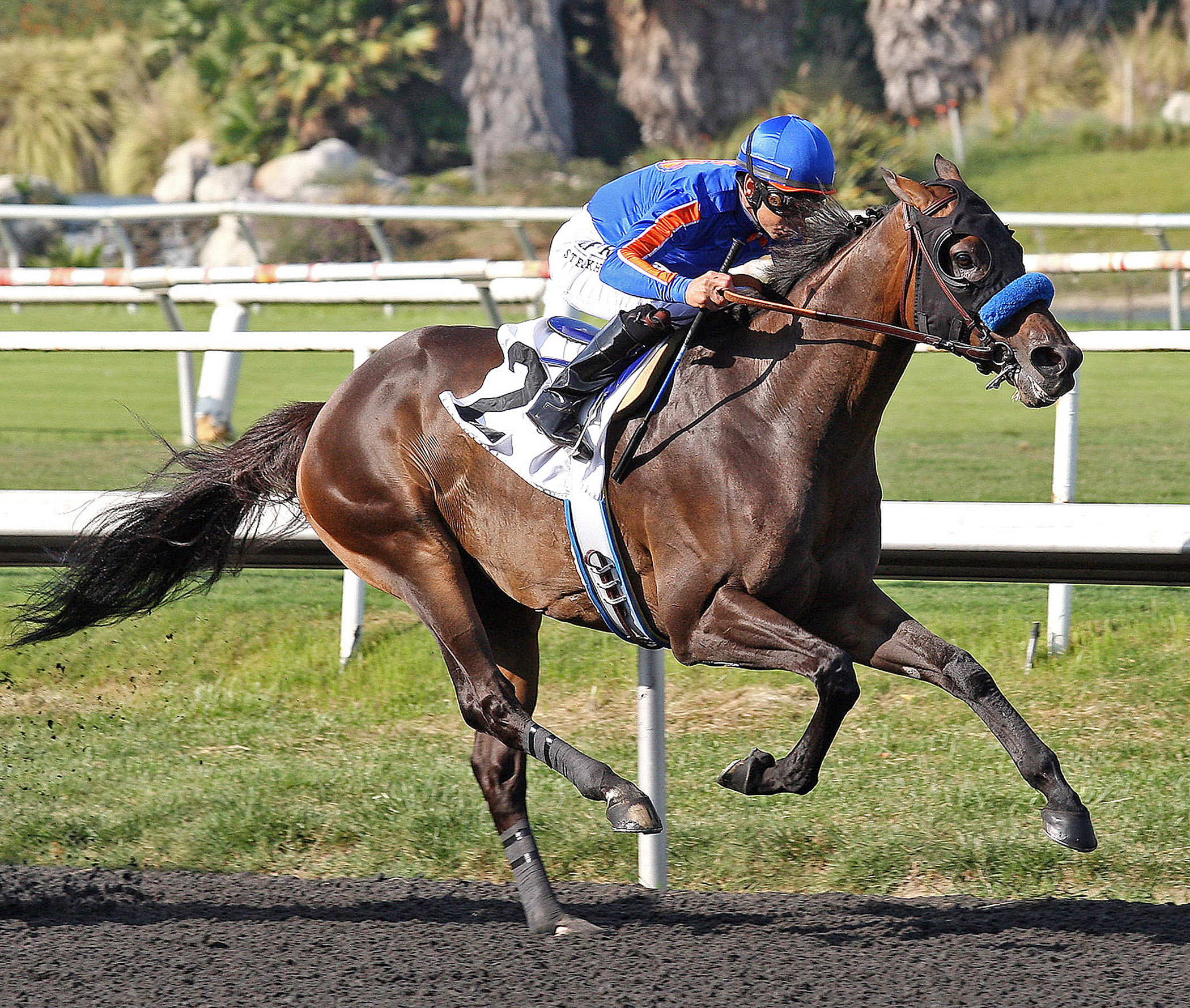 Game On Dude, Hollywood Gold Cup