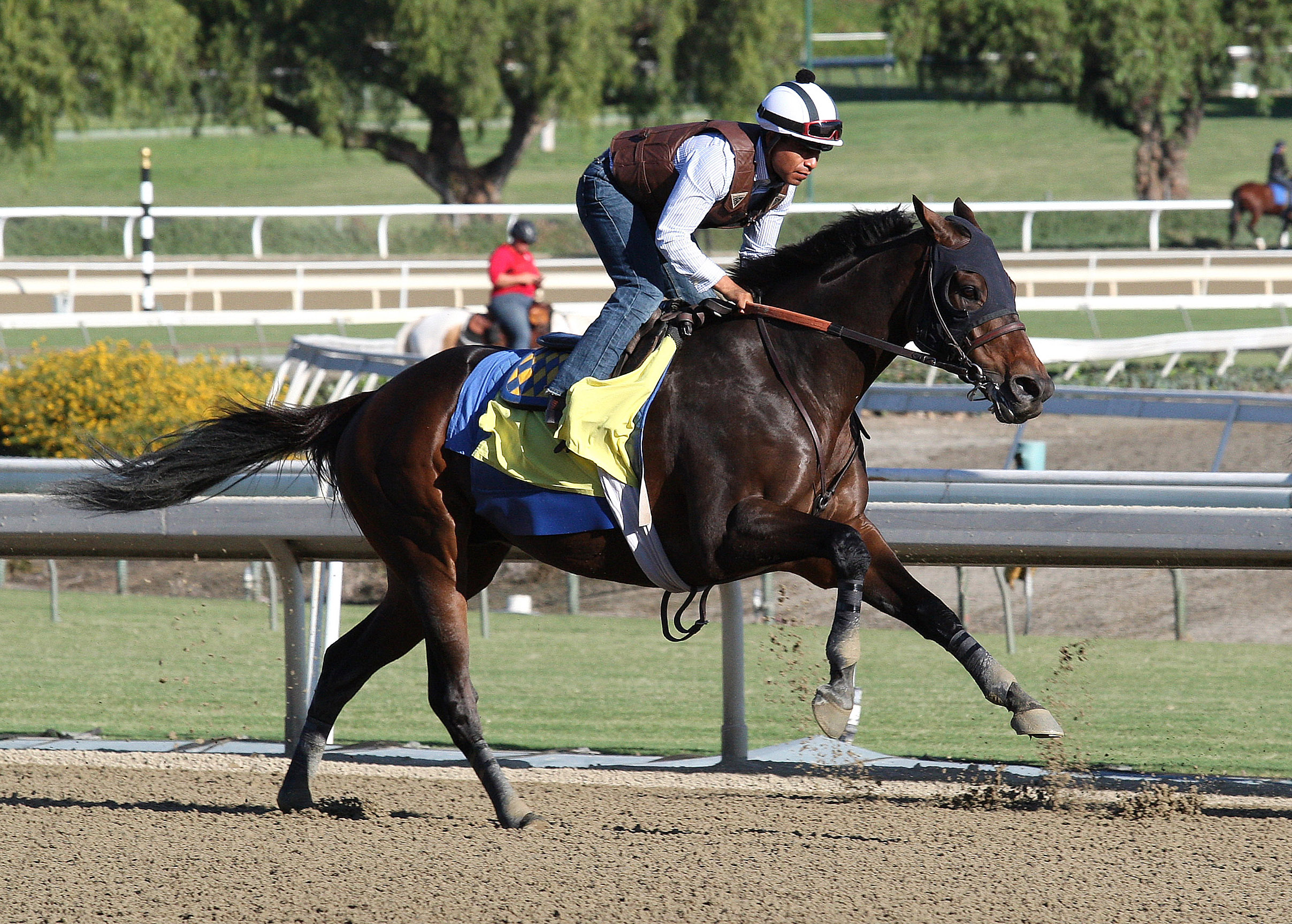 Game On Dude training