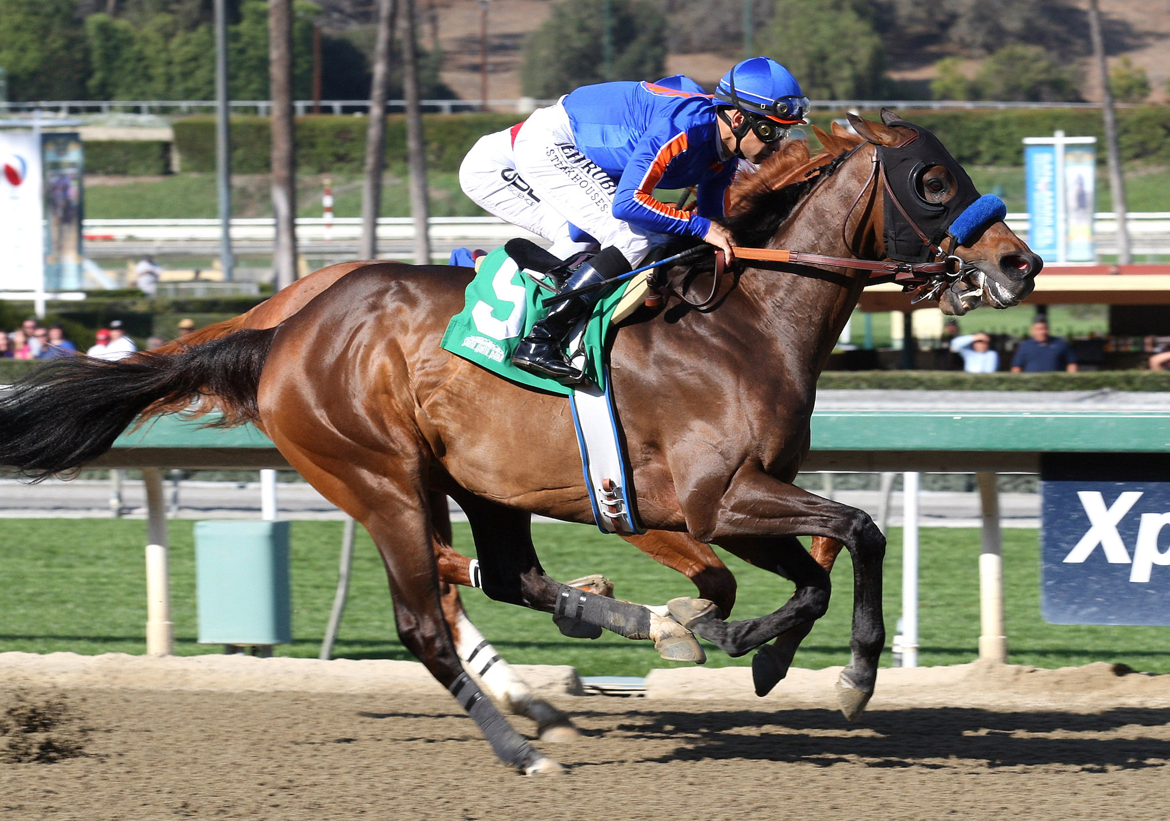 Game On Dude in the San Antonio Stakes
