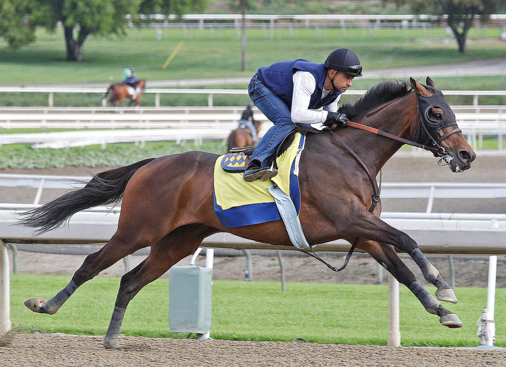 Dick Jerardi: Mid-Atlantic uniform Thoroughbred drug-testing program is within reach