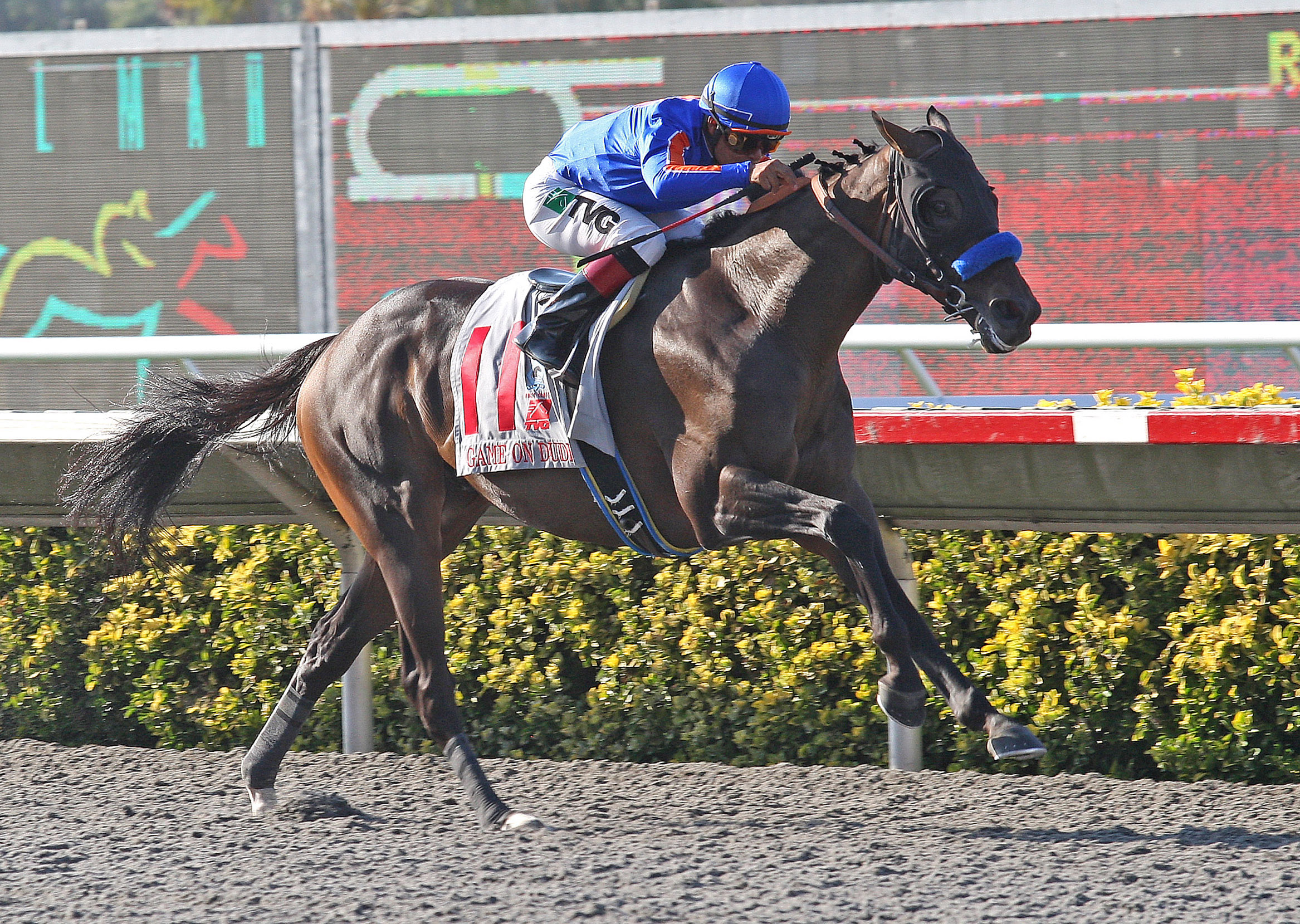 Game On Dude, Pacific Classic
