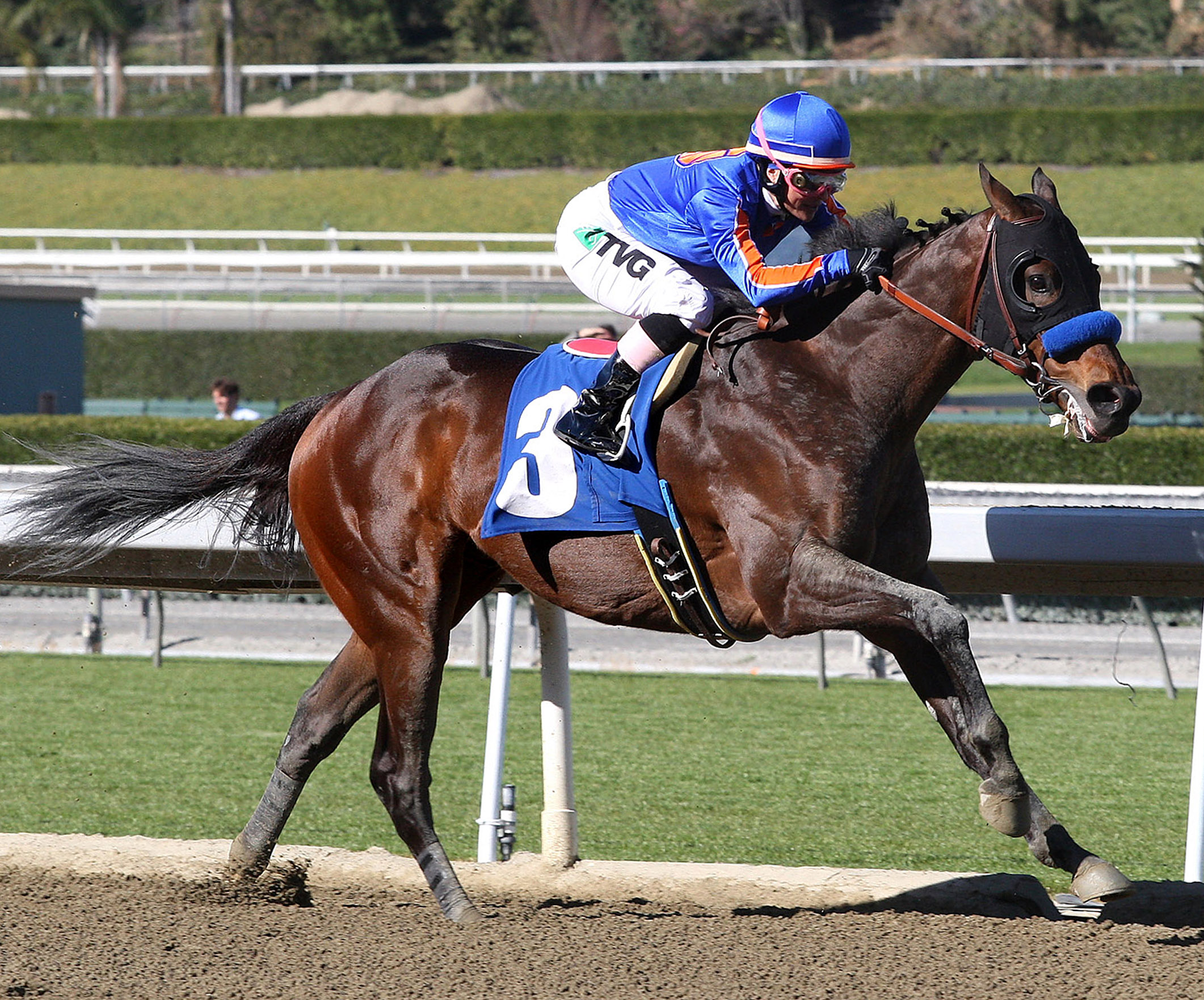 Game On Dude, Feb. 5, 2012