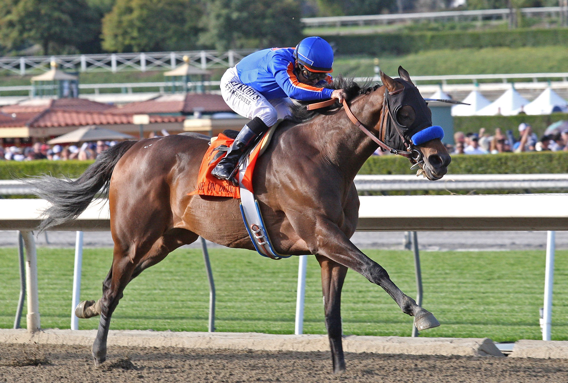 Game On Dude wins the Santa Anita Handicap