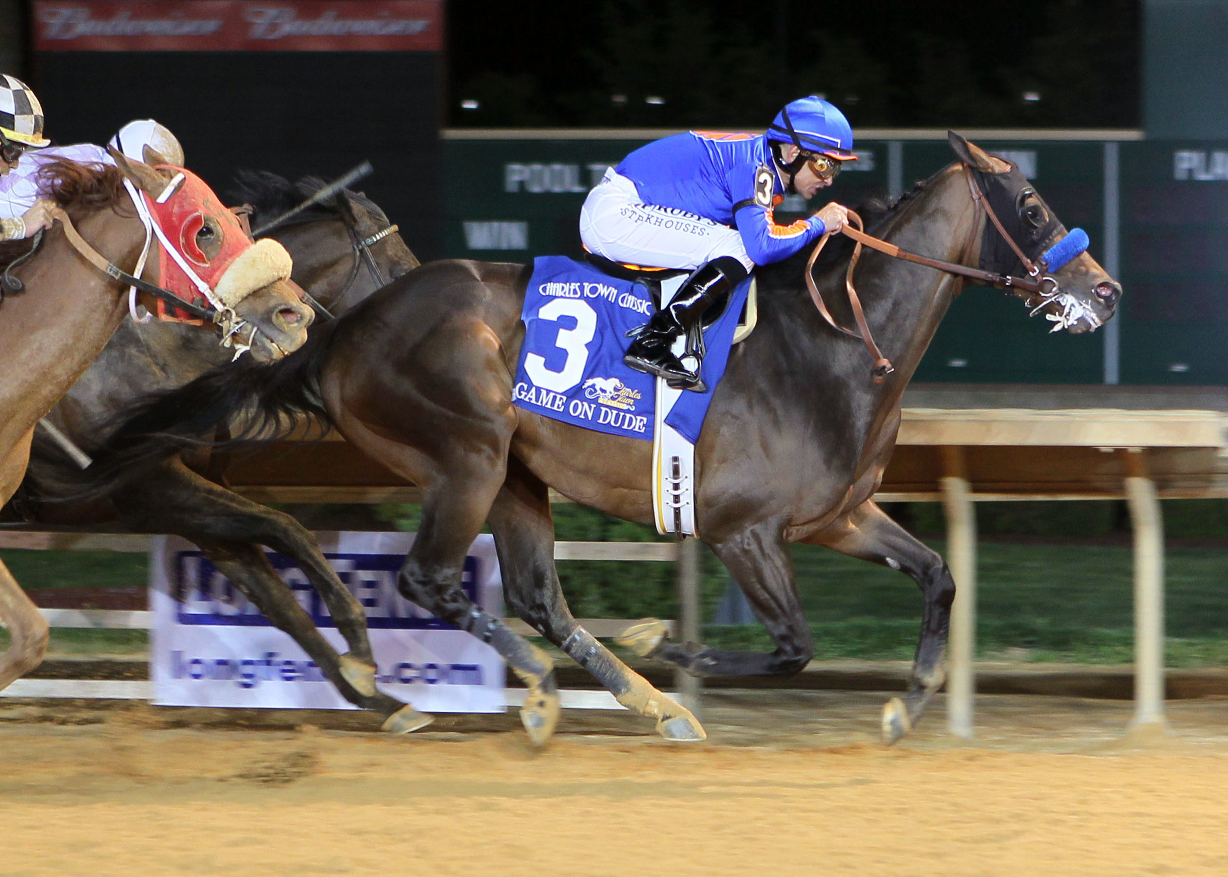 Game On Dude, Charles Town Classic