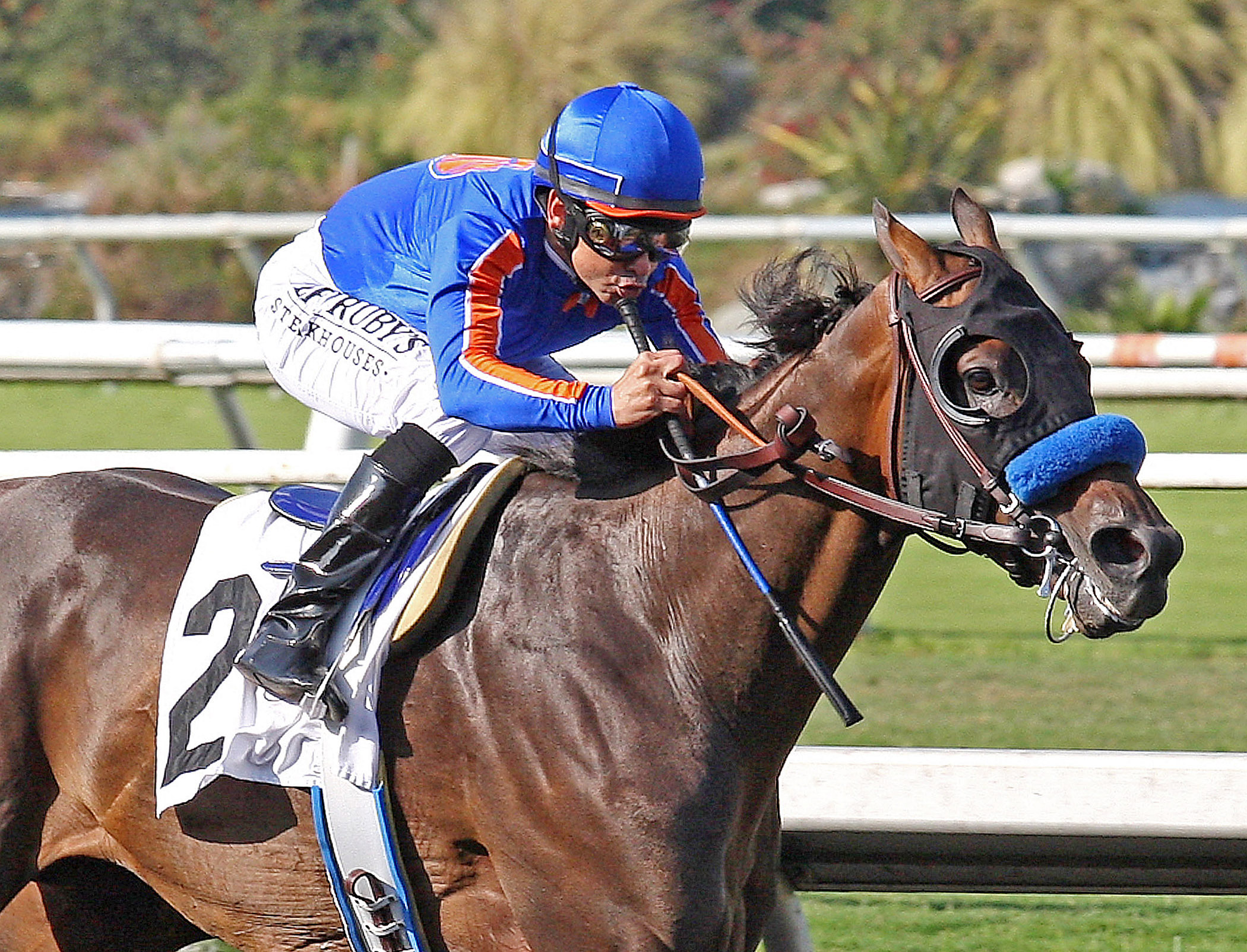 Game On Dude, Hollywood Gold Cup