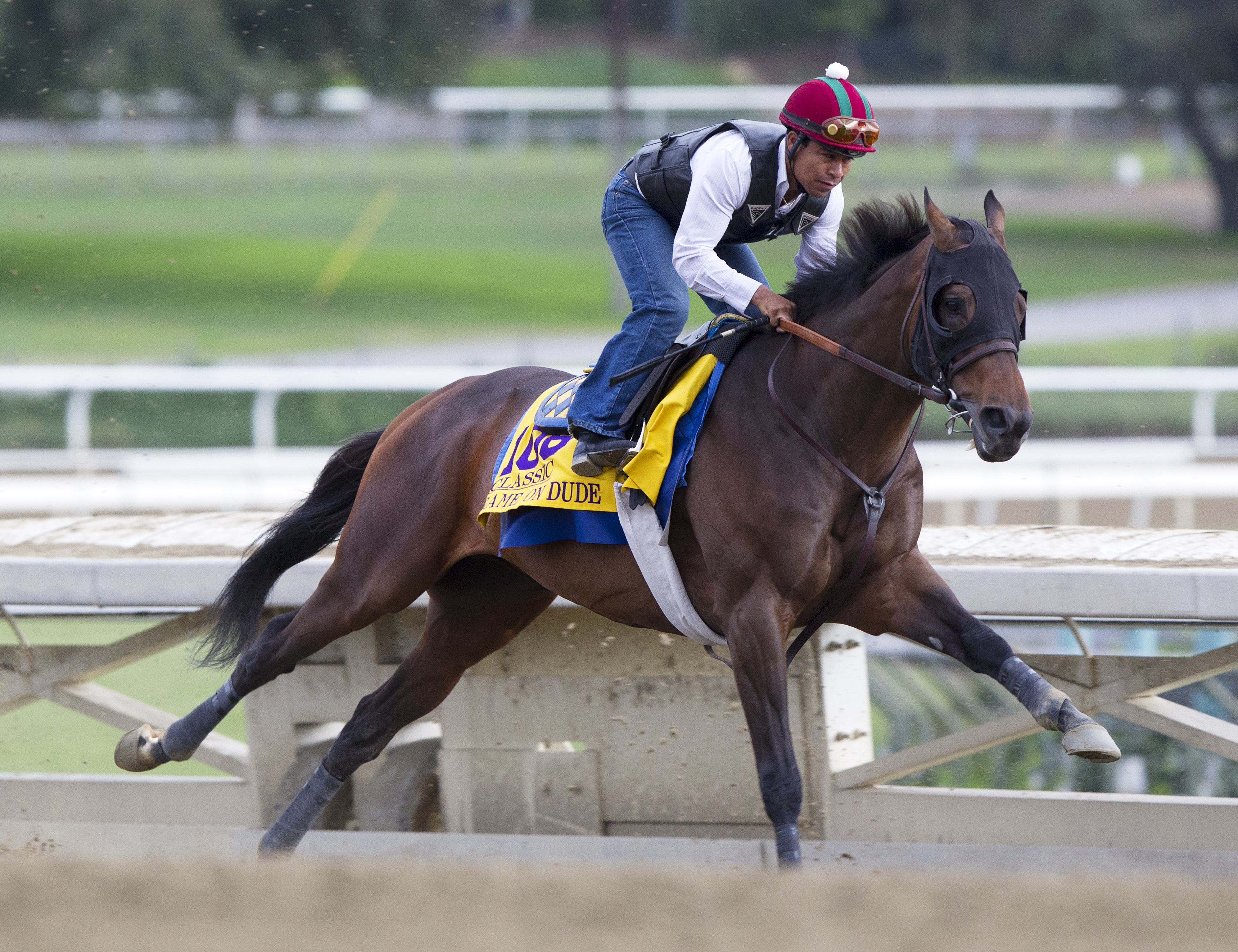 Game On Dude trains at Santa Anita