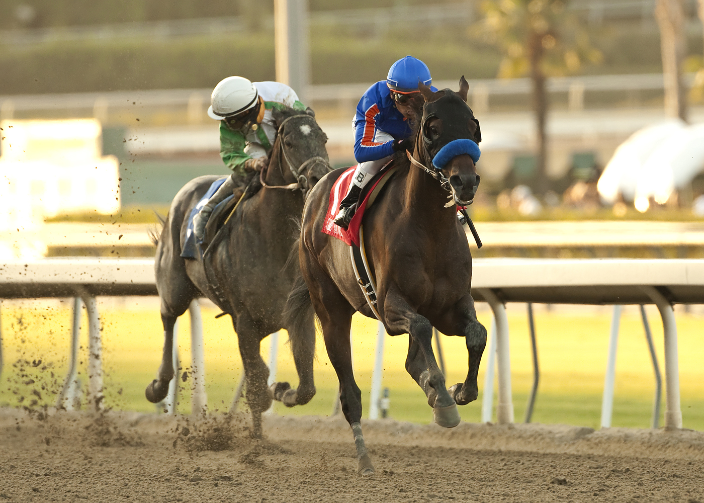 Game On Dude/Awesome Again Stakes