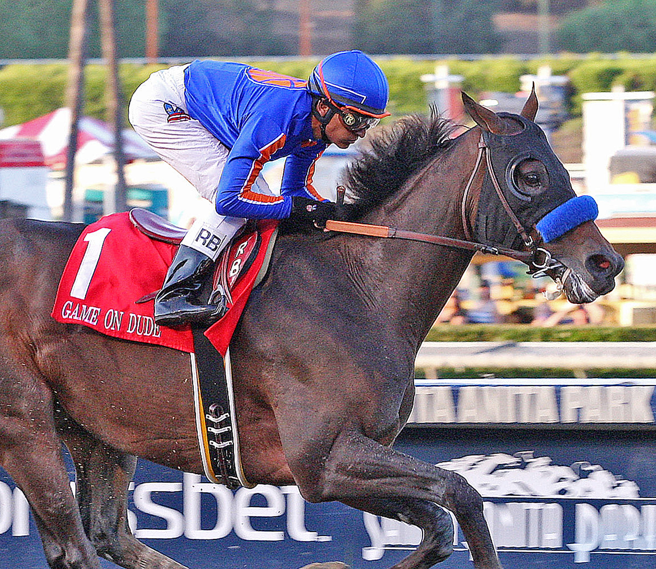 Byron King: You can bet the Dude - and other Breeders' Cup thoughts