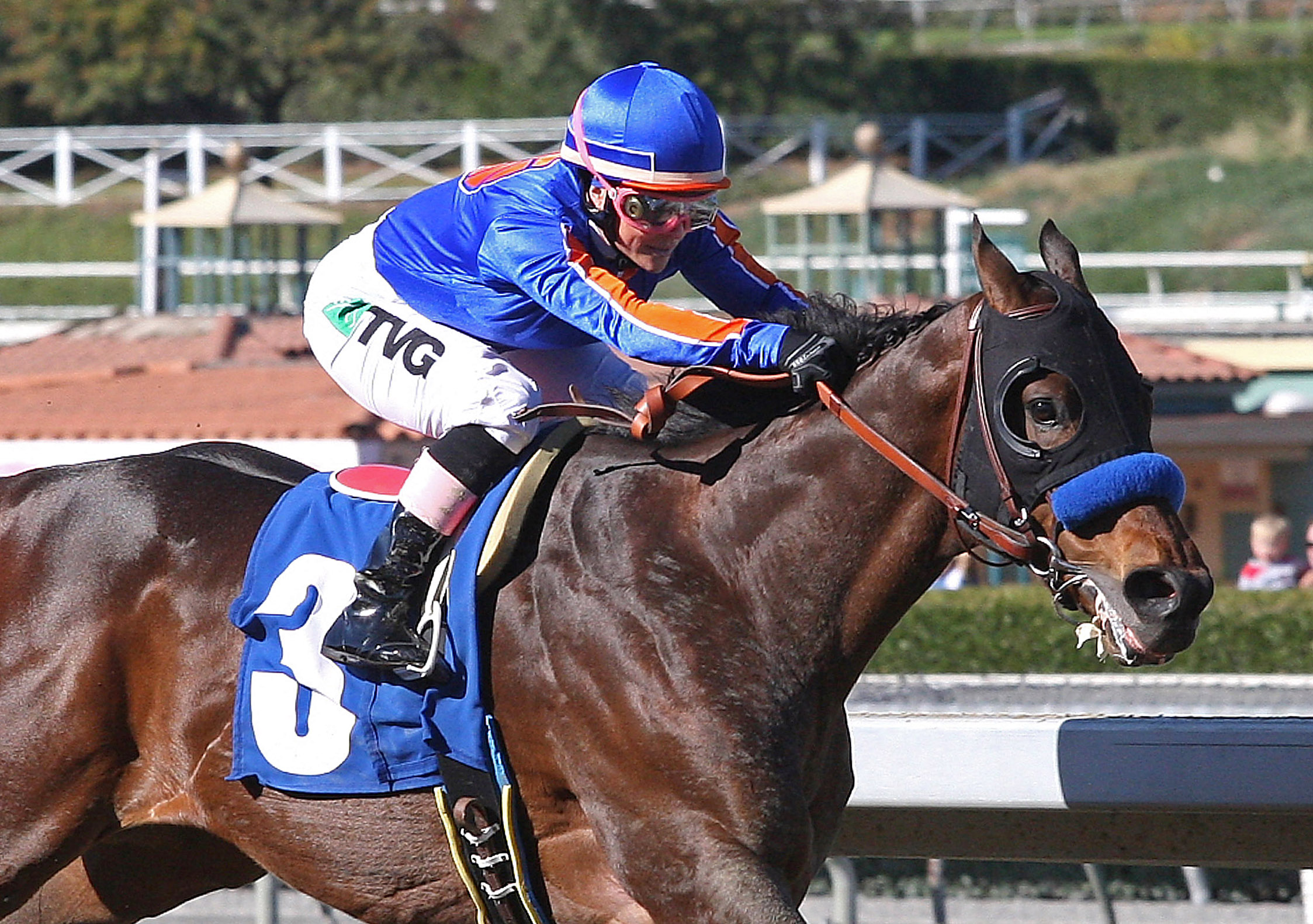 Game On Dude/San Antonio