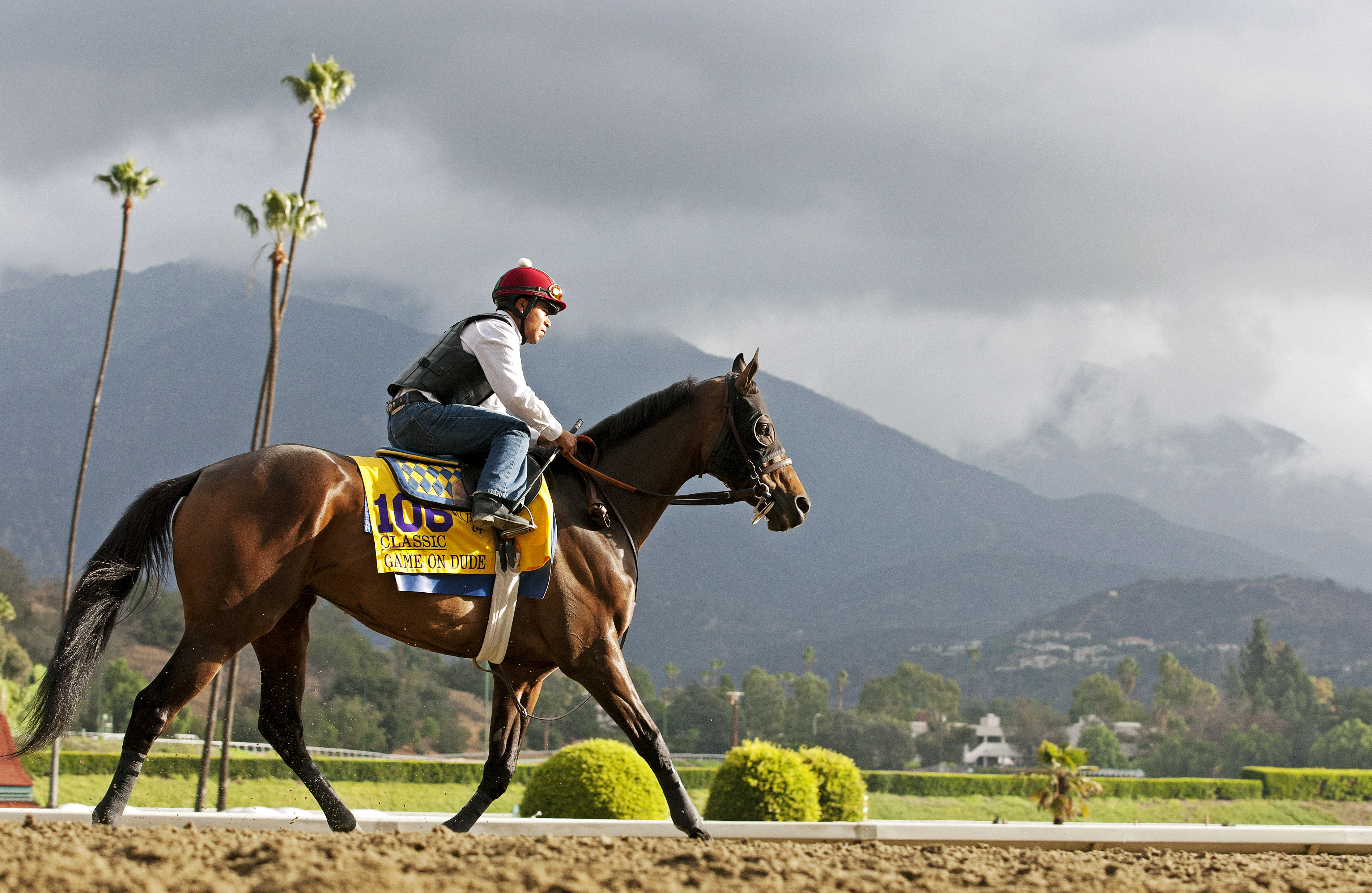 Game On Dude at Santa Anita Park