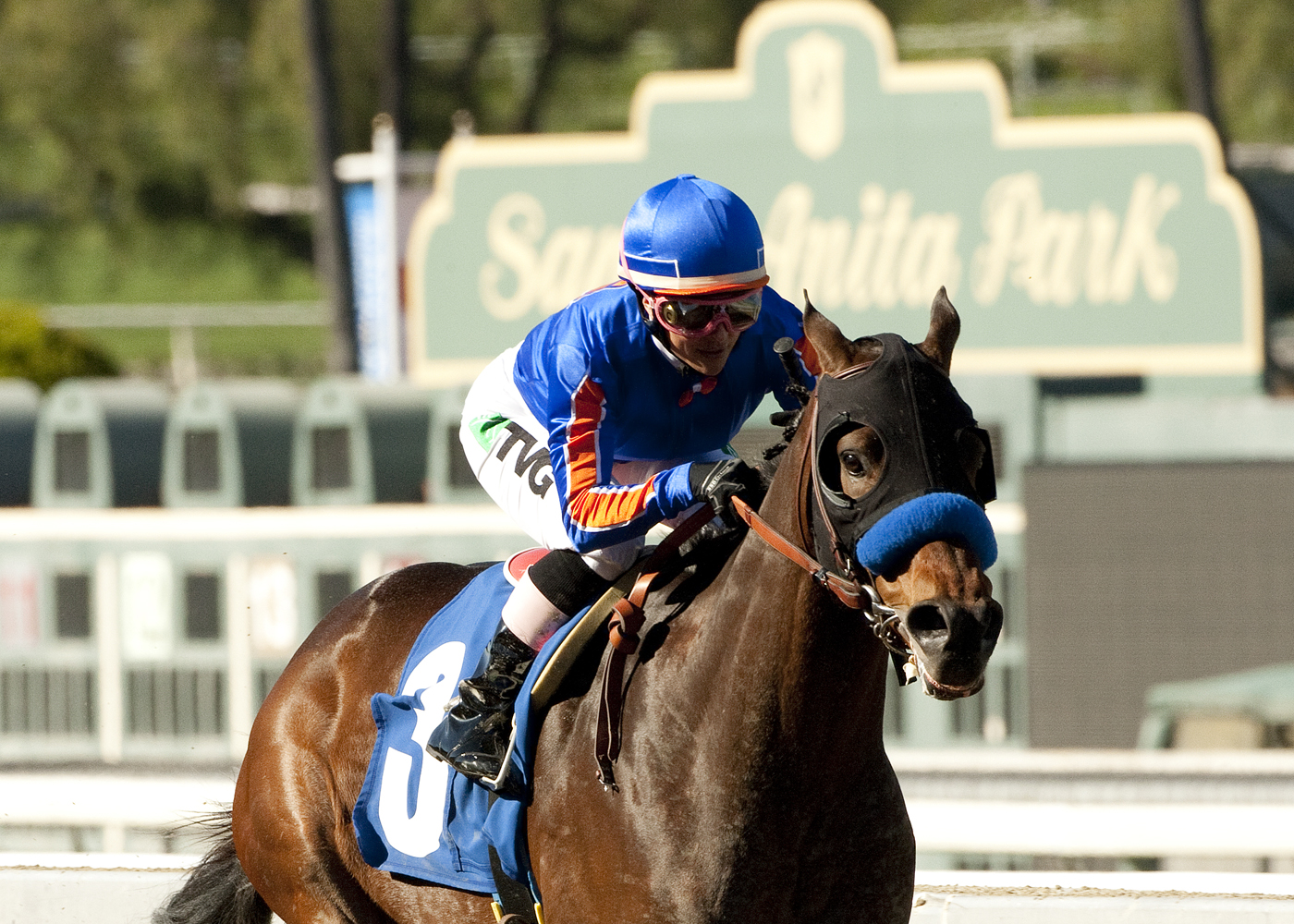Game On Dude