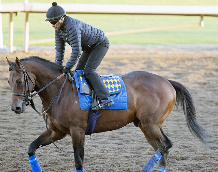 Game Winner trains at Santa Anita on Dec. 16
