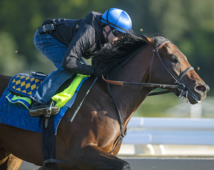 Game Winner trains at Santa Anita on March 4