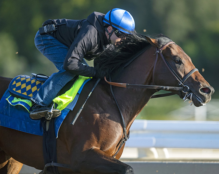 Game Winner trains at Santa Anita on March 4