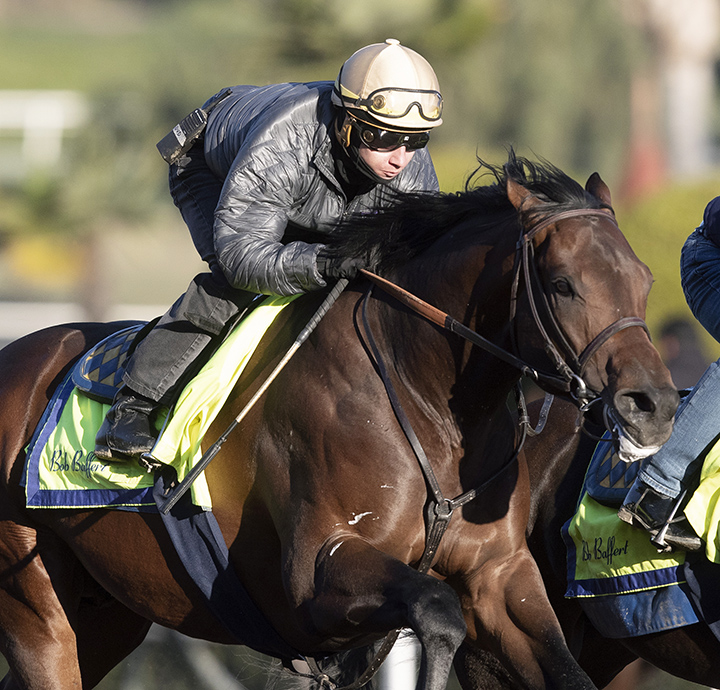 Game Winner trains at Santa Anita on Feb. 8