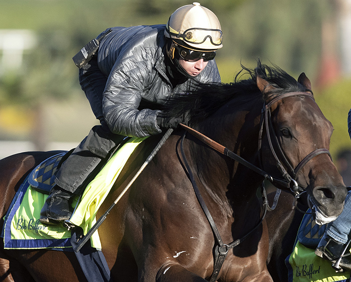 Game Winner trains at Santa Anita on Feb. 8