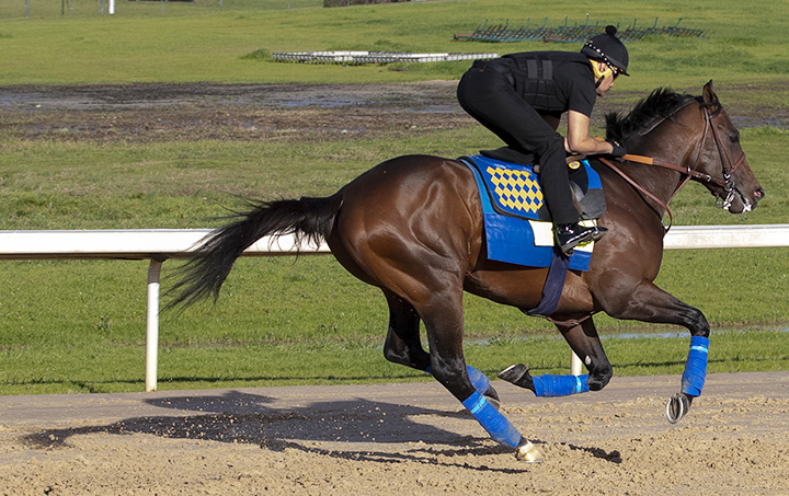 Game Winner gallops at Oaklawn on March 14