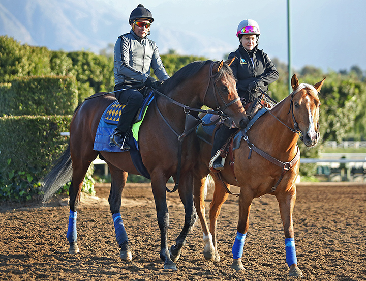 Game Winner at Santa Anita Park on Feb. 24
