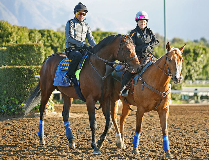 Game Winner at Santa Anita Park on Feb. 24