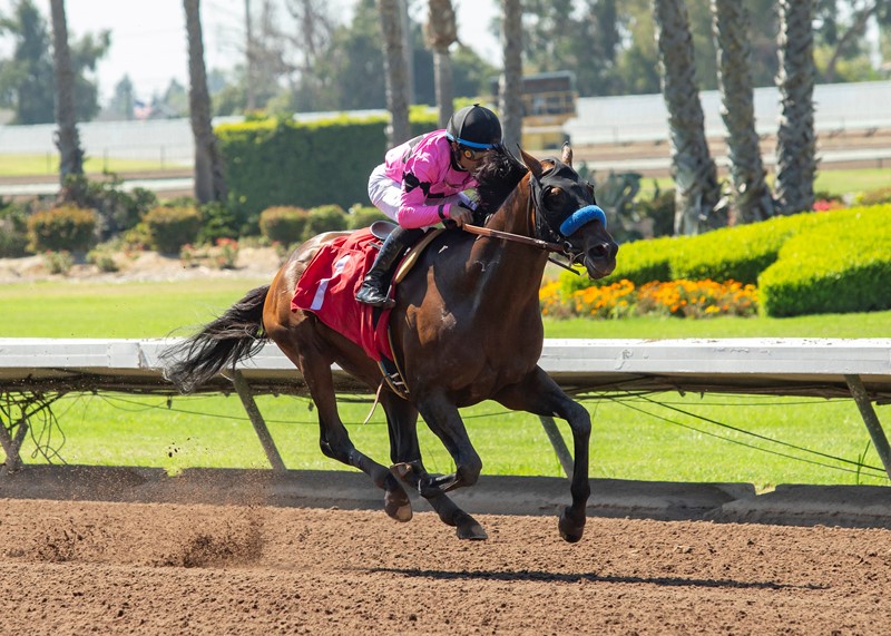 Game Winner wins the 2019 Los Alamitos Derby