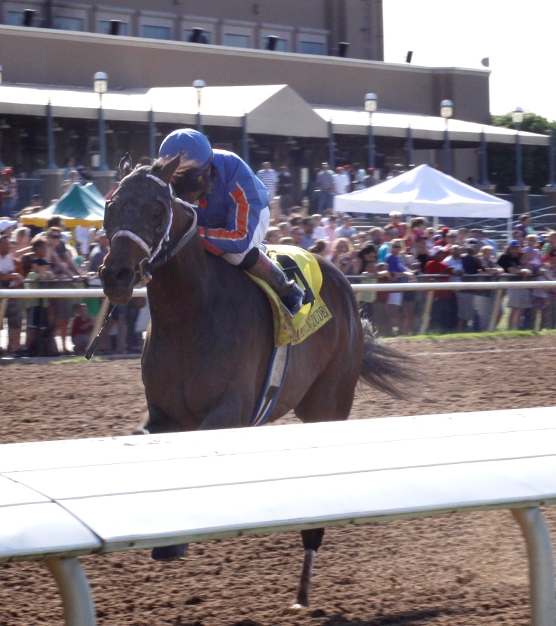 Game On Dude
