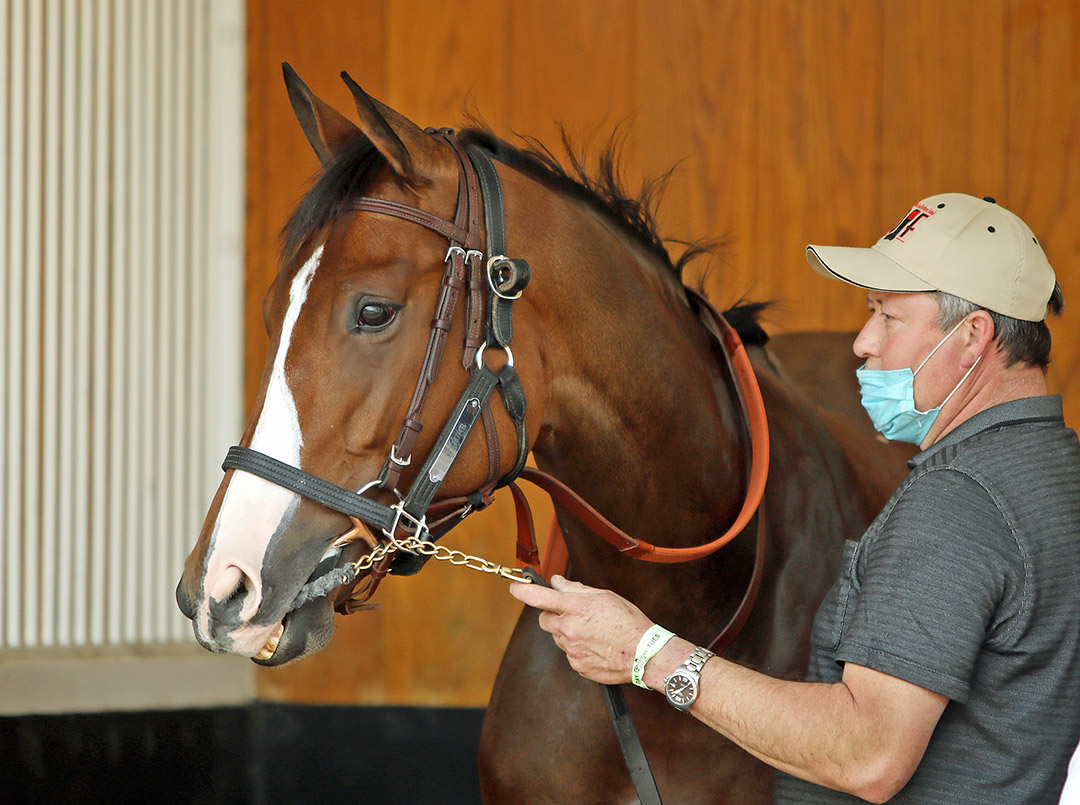 Gamine schools in the paddock at Churchill Downs on April 27