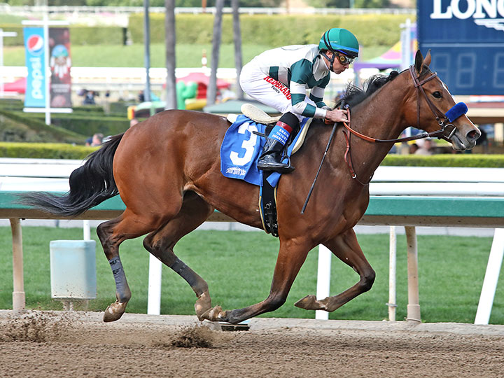 Gamine wins a March 7 maiden race at Santa Anita Park