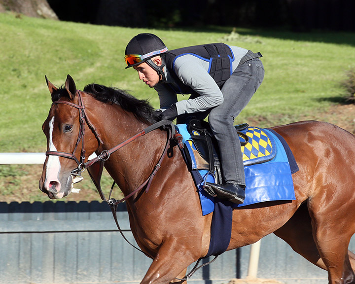 Gamine at Oaklawn Park on April 30