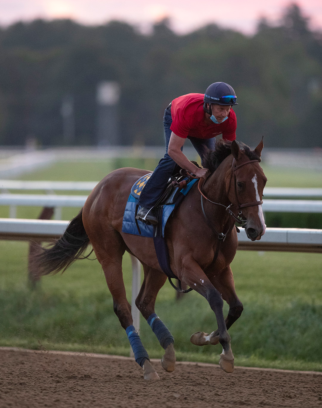 Gamine trains at Saratoga Race Course on Aug. 6
