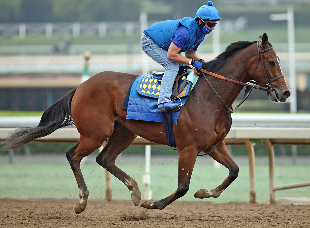 Gamine trains at Santa Anita Park on Sept 26