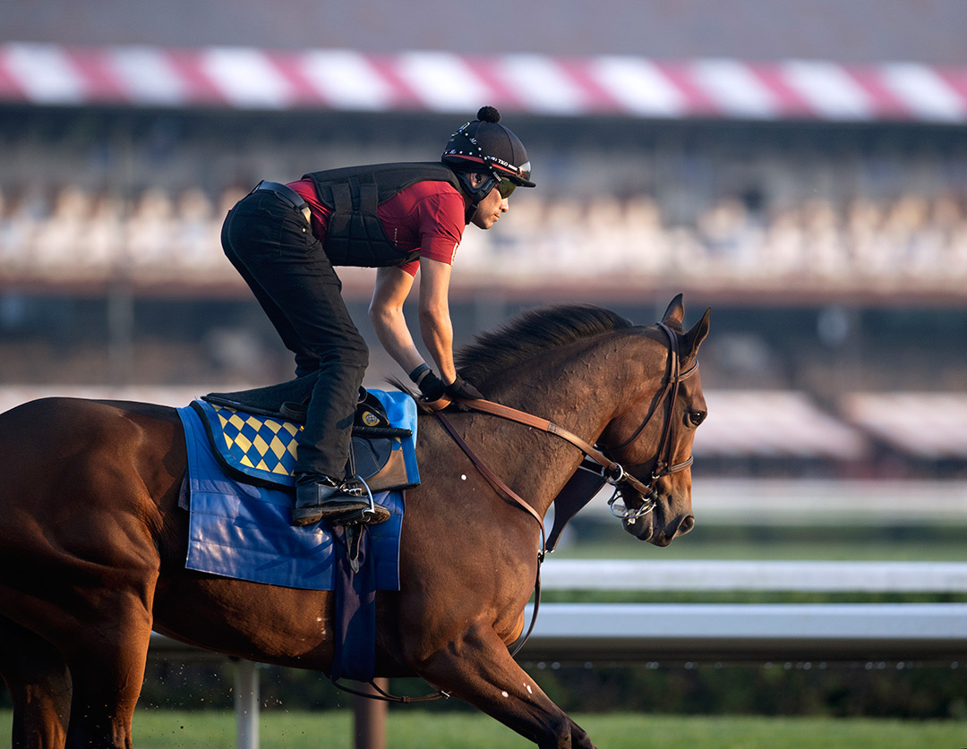 Gamine trains at Saratoga Race Course on Aug. 26
