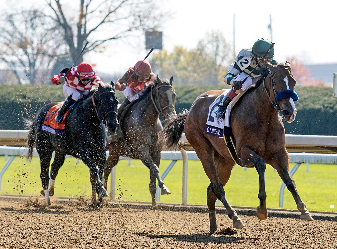 Gamine wins the 2020 Breeders' Cup Filly & Mare Sprint at Keeneland