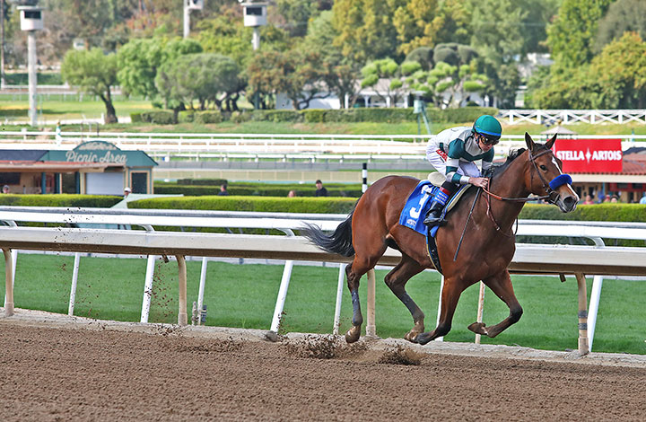 Gamine wins a March 7 maiden race at Santa Anita Park