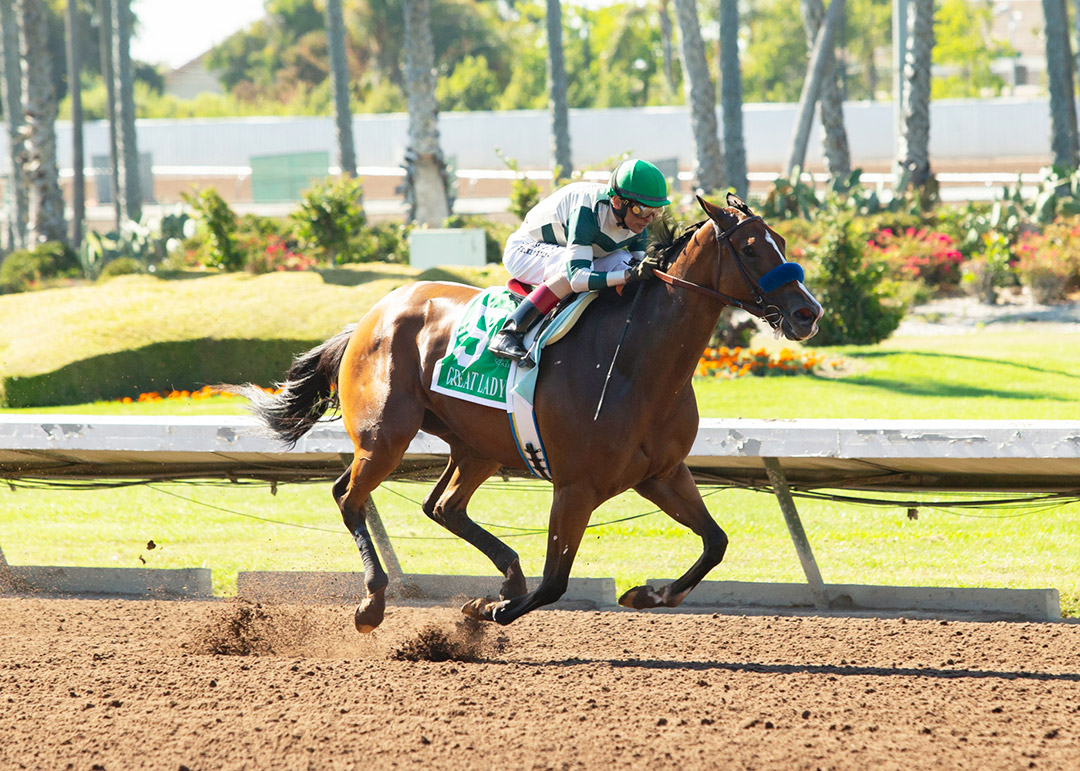 Gamine wins the 2021 Great Lady M. Stakes at Los Alamitos