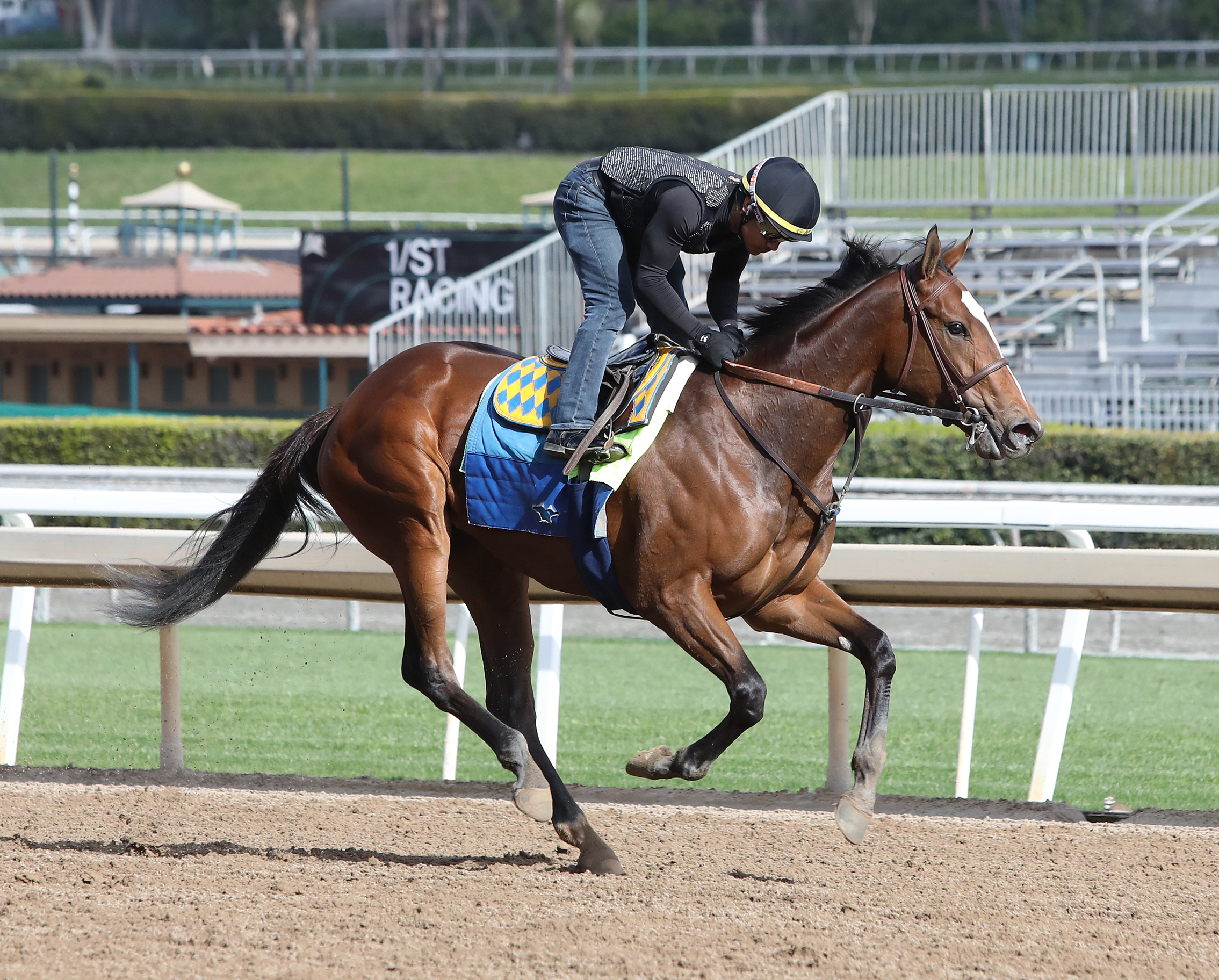 Ganadora trains at Santa Anita March 5 2022