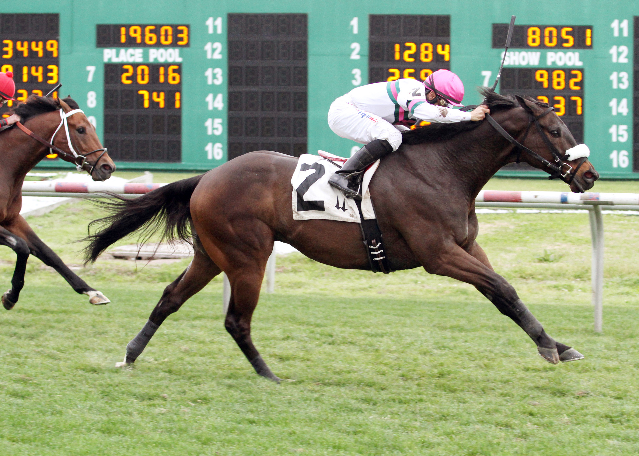 Gantry wins the Colonel Power Stakes