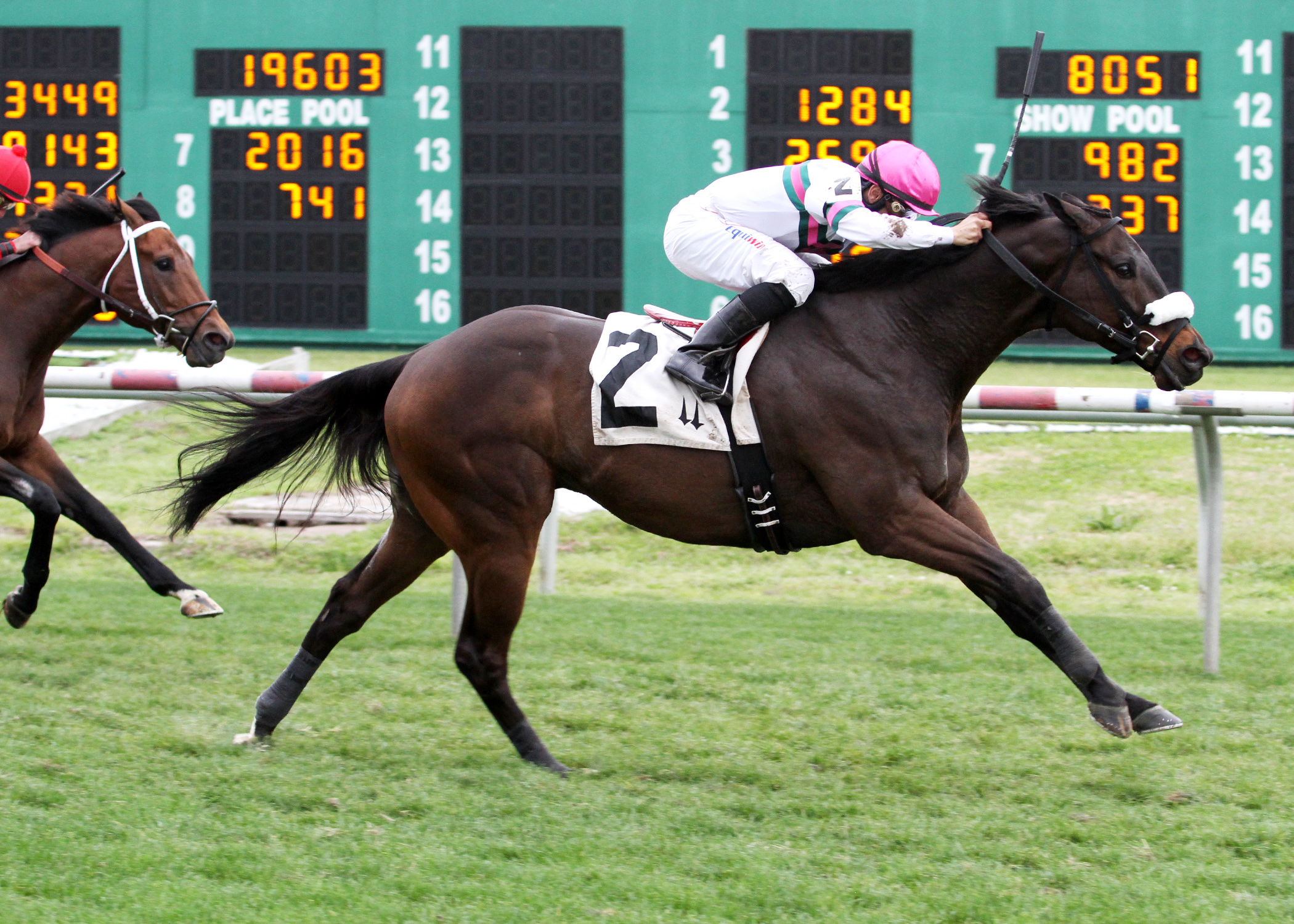 Gantry wins the Colonel Power Stakes
