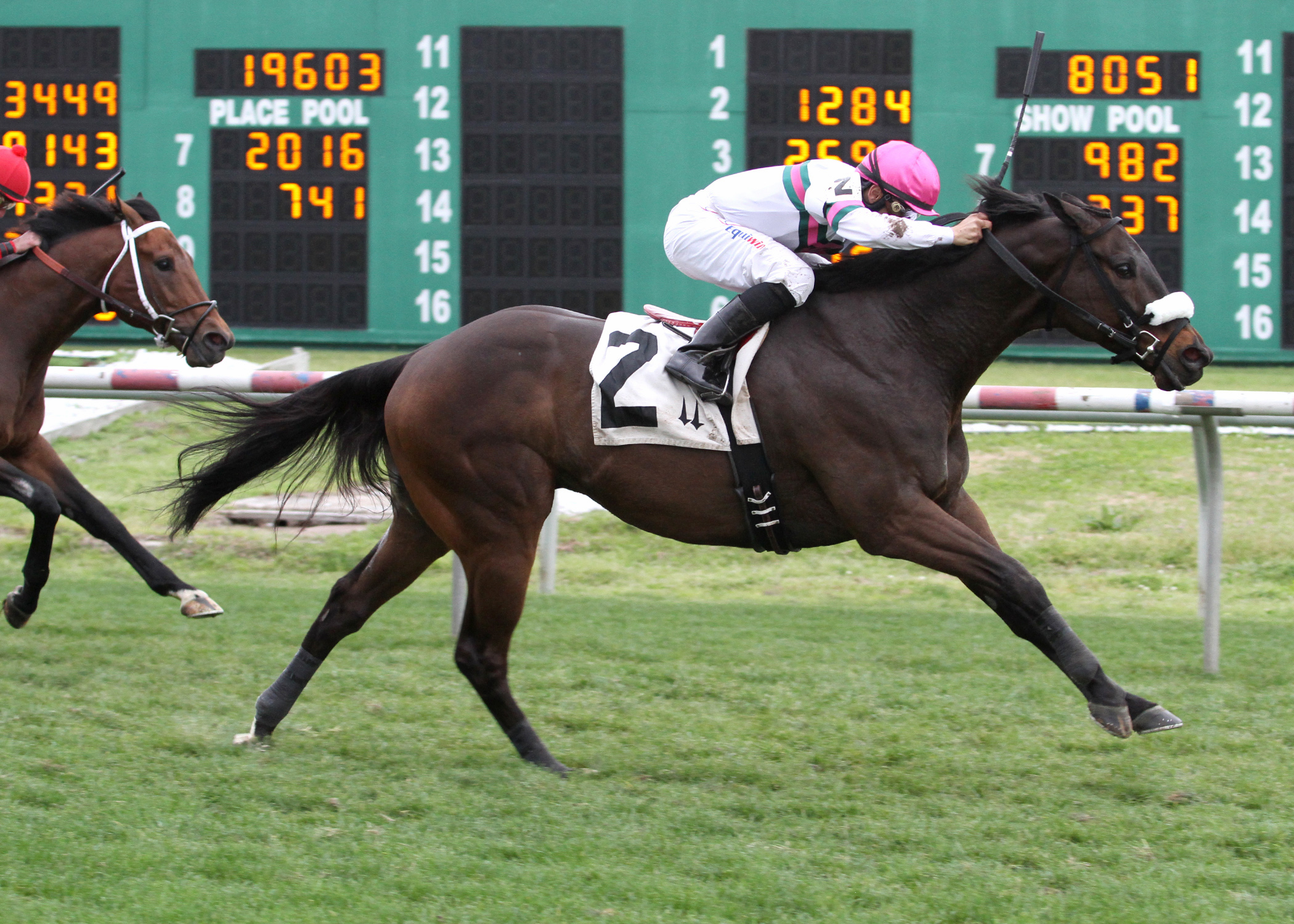 Gantry wins the 2014 Coloner Power Stakes