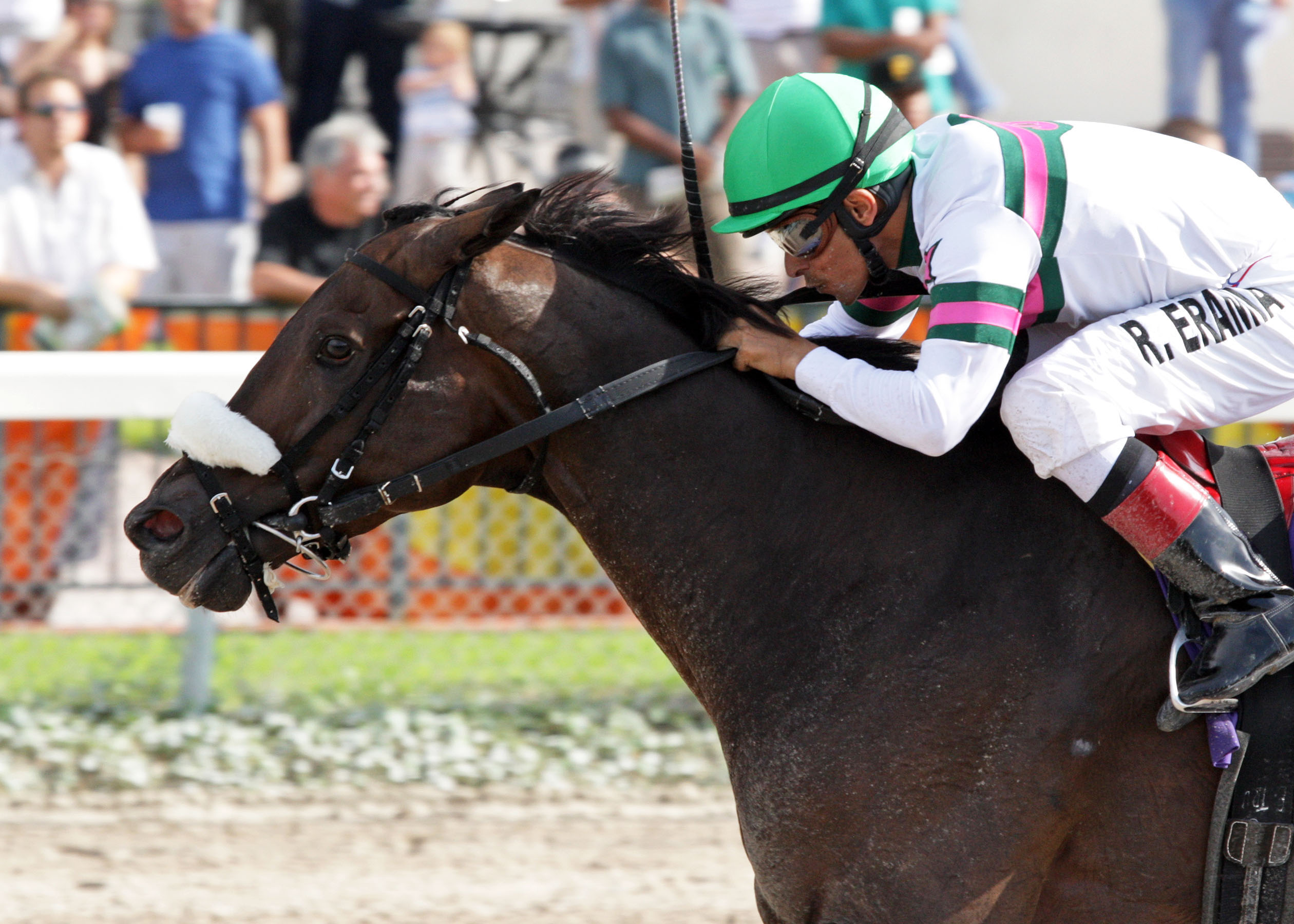 Gantry, 2012 Smile Sprint Handicap