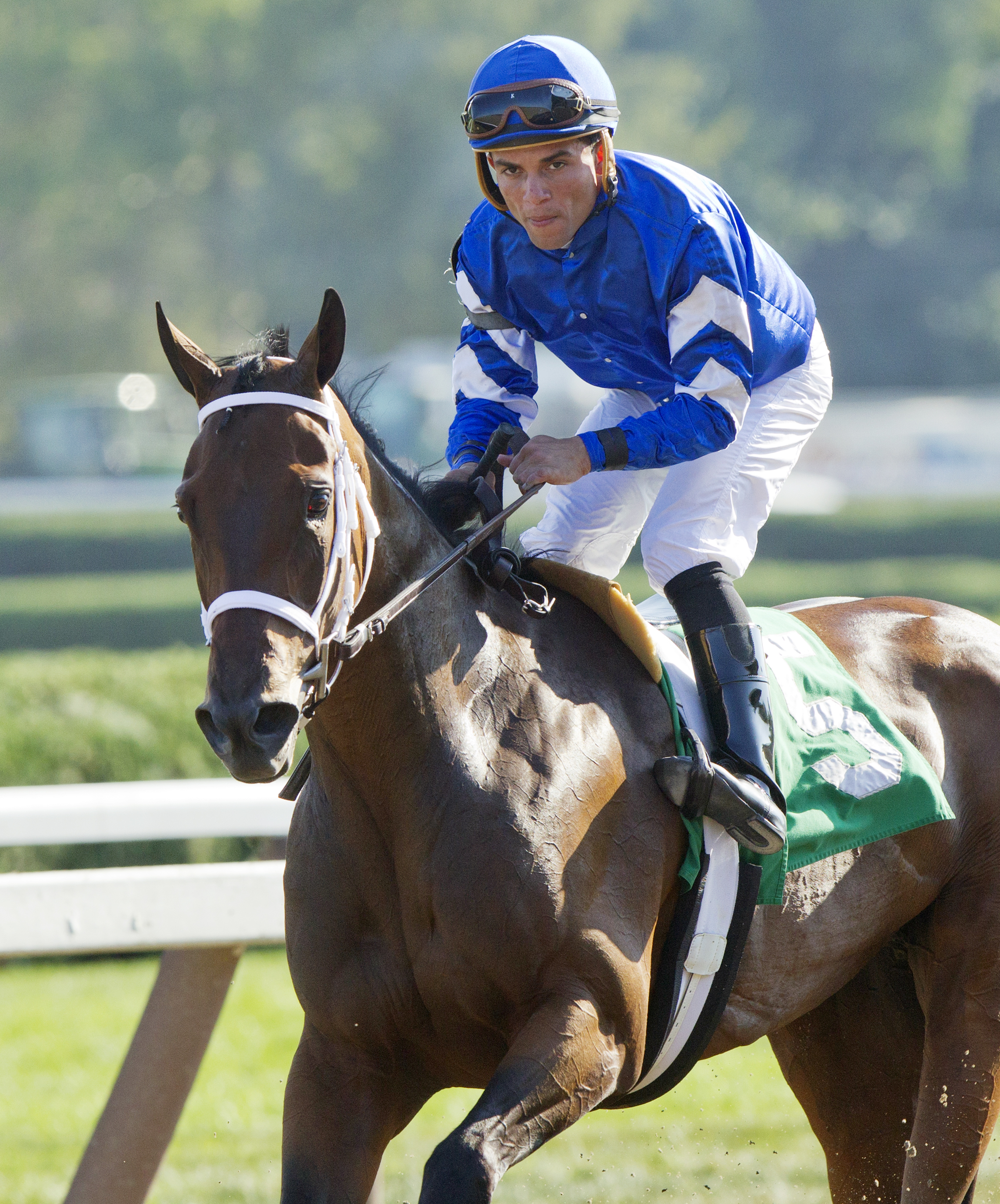 Gap Year after winning an allowance race
