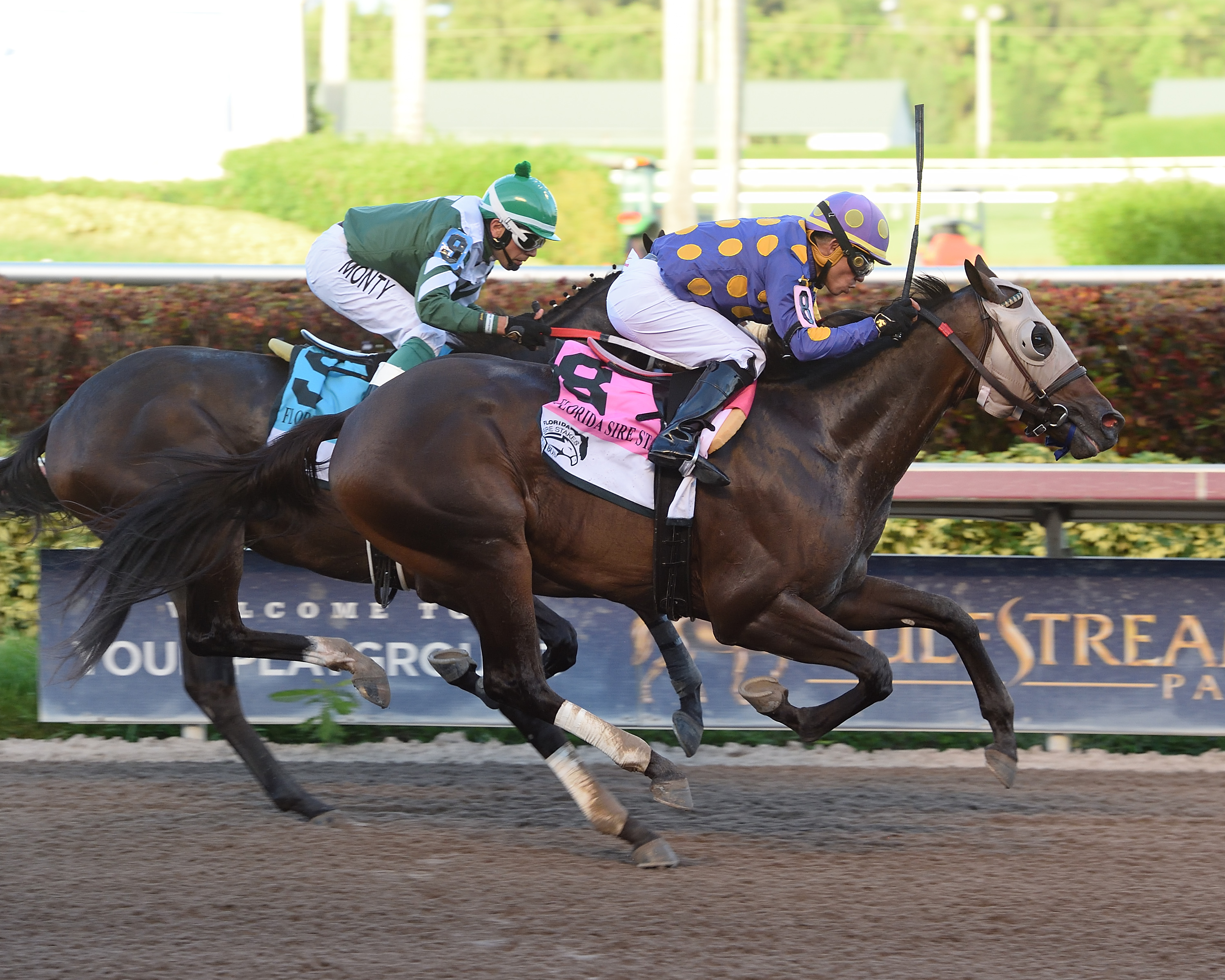 Garter and Tie wins 2018 FSS Affirmed