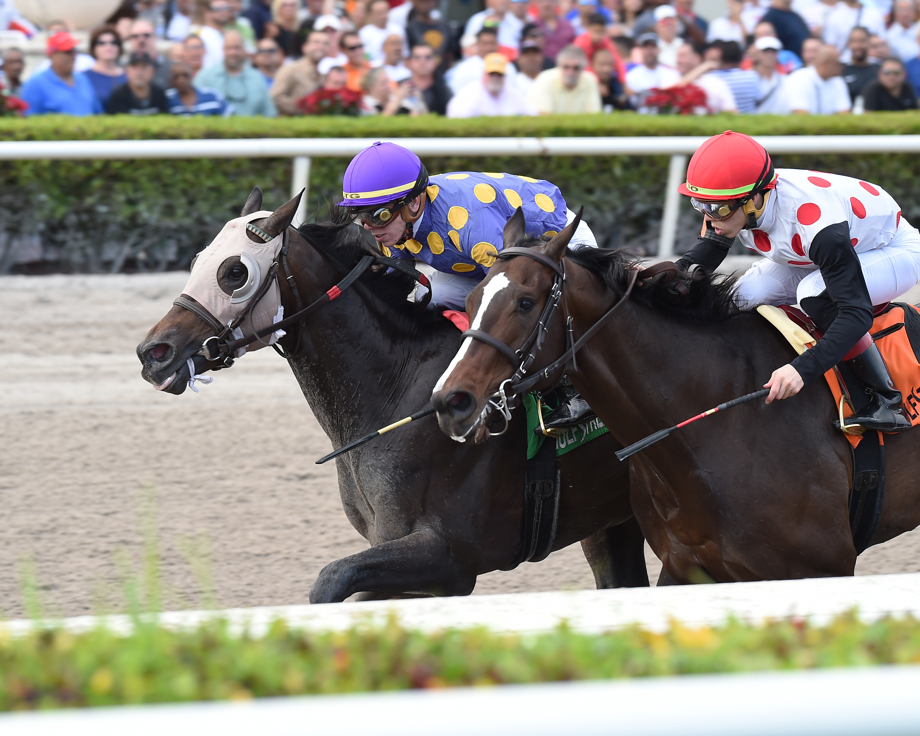 Garter and Tie (left) wins the 2018 Smooth Air Stakes