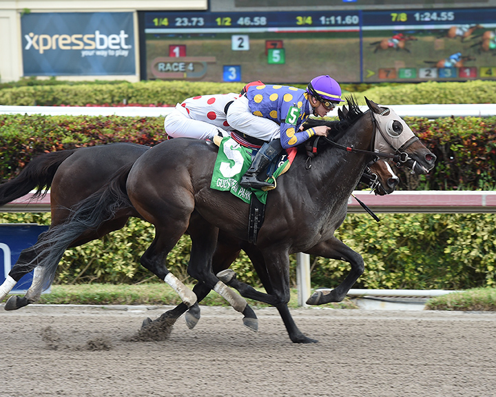 Garter and Tie wins the 2018 Smooth Air Stakes